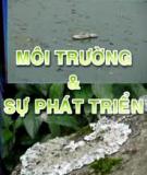 Việt Nam môi trường và cuộc sống - Phần 18
